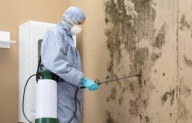 Mold Remediation for Vacation Homes in Garrett, IN